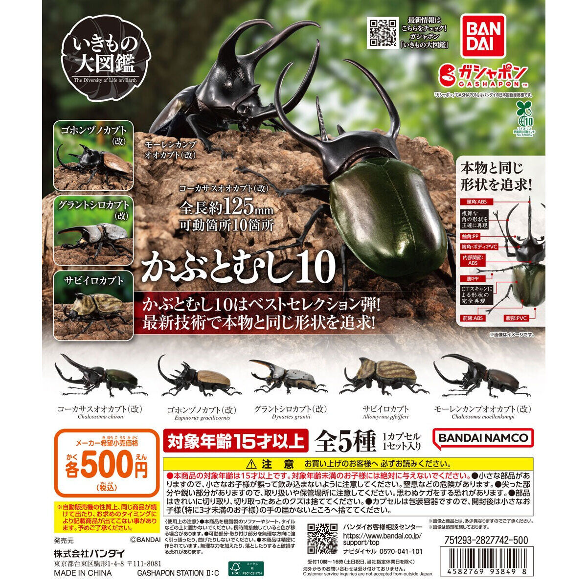 Gachapon THE DIVERSITY OF LIFE ON EARTH BEETLE Vol.10 Rhinoceros Beetle Set of 5