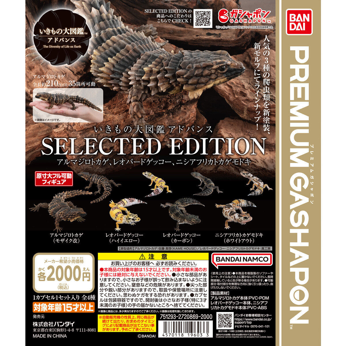 Gashapon The Diversity of Life on Earth Collected Edition Armadillo Lizard