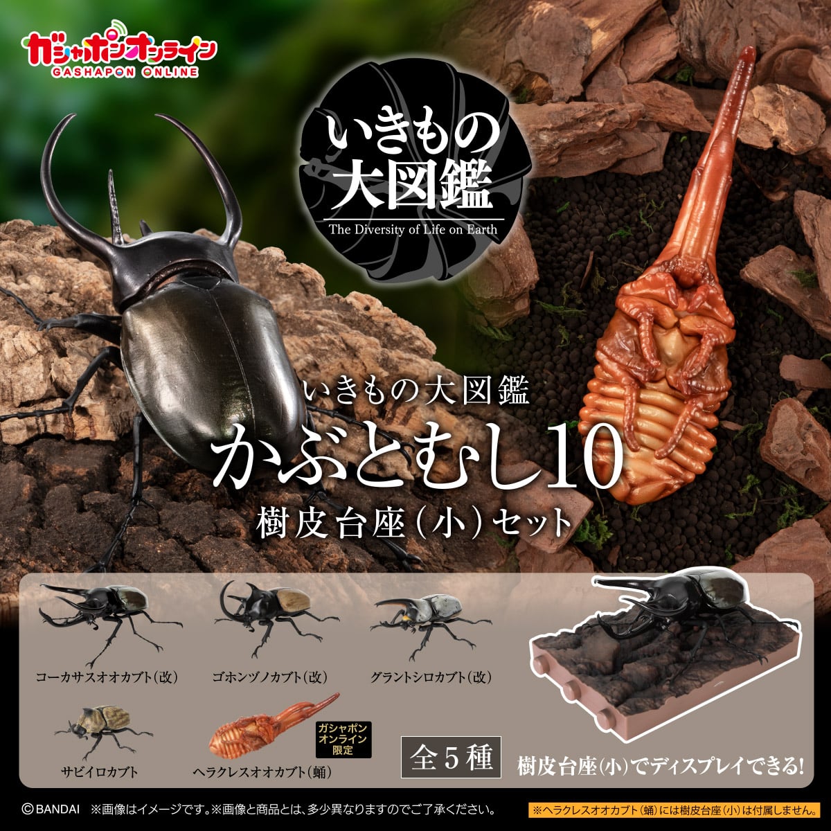 BANDAI SPIRITS Tamashii Nations Gashapon Beetle 11 Bark Pedestal Set