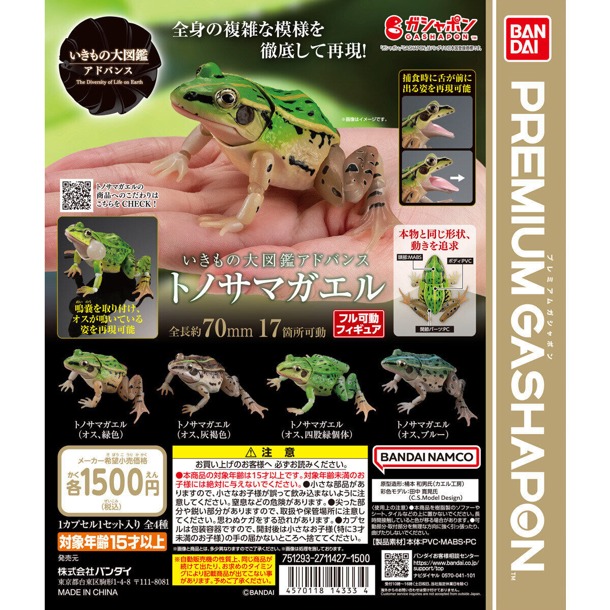 Gashapon The Diversity of Life on Earth Pelophylax nigromaculatus
