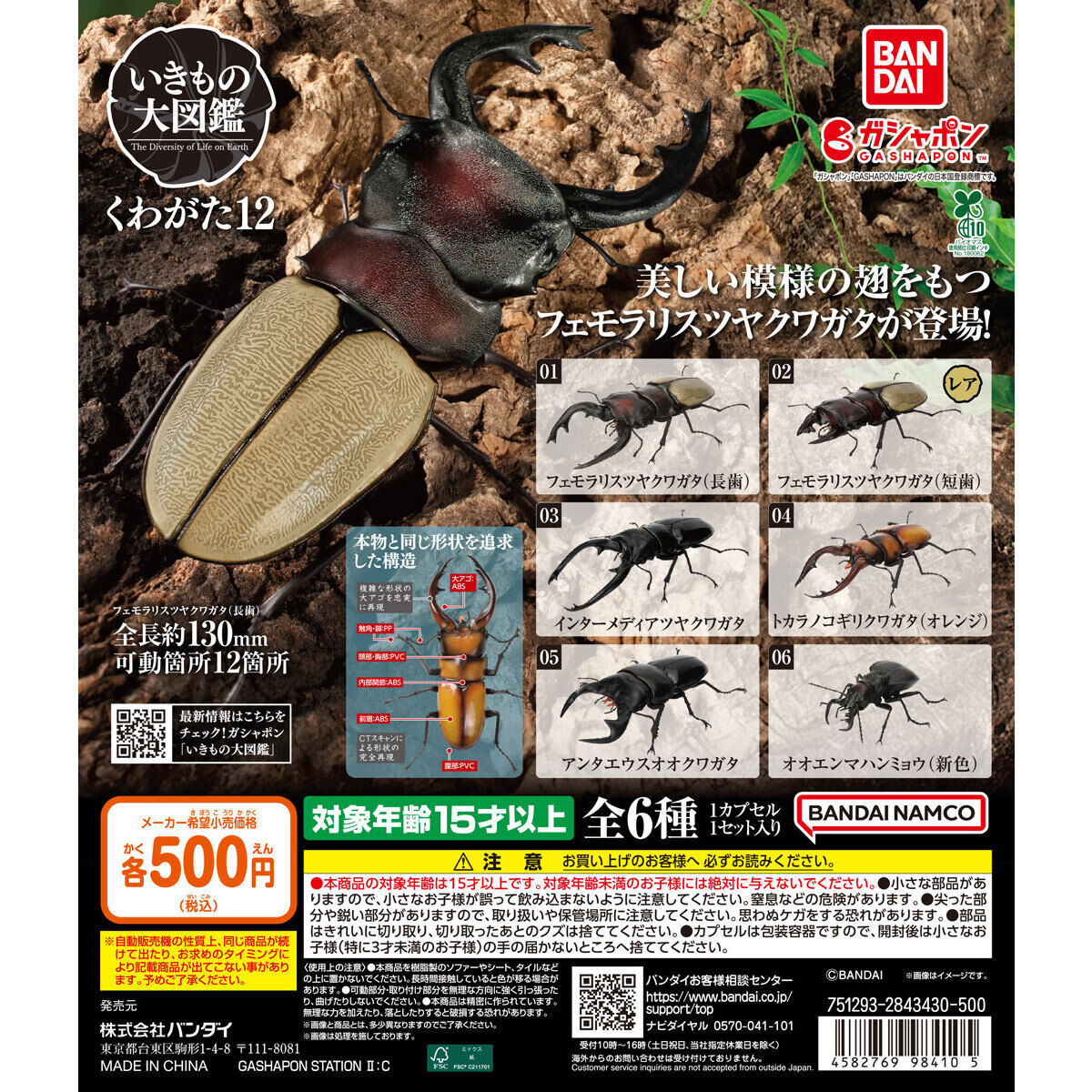 Gacha THE DIVERSITY OF LIFE ON EARTH STAG BEETLE 12 Stag Beetle Vol.12 Set of 6