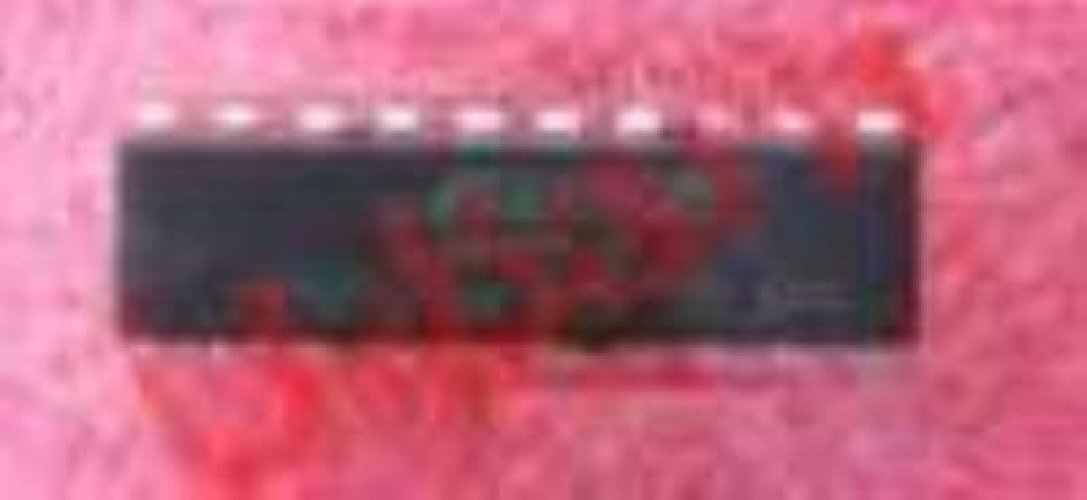 IC 134499B DIP-20