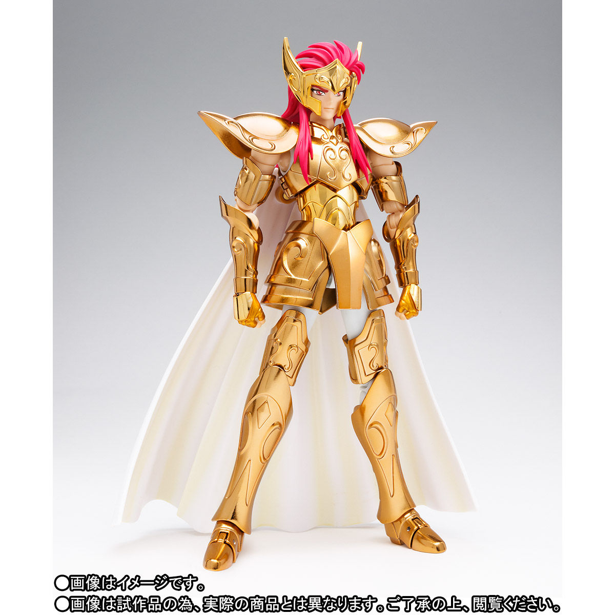 Bandai Saint Cloth Myth EX Aquarius Camus Original Color Edition Tamashii Nation 2019 Exclusive Limited