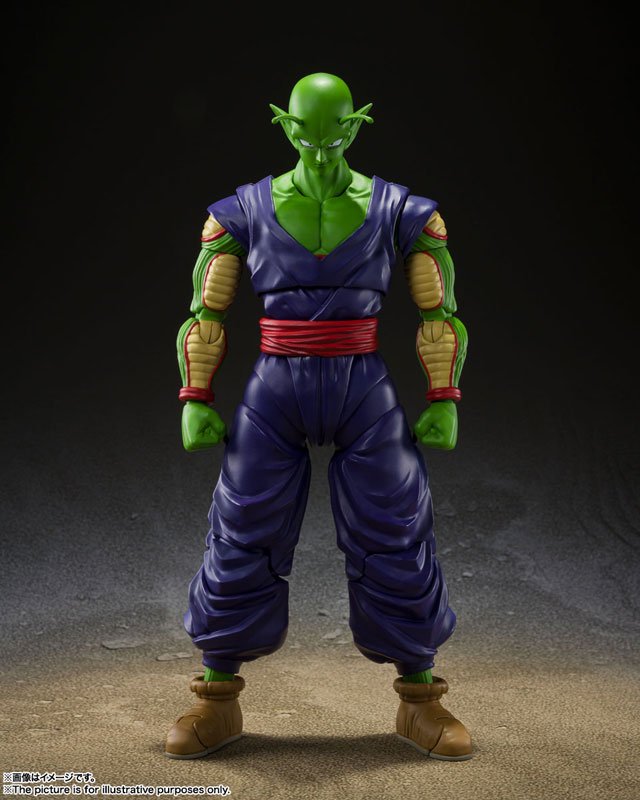 Bandai S.H.Figuarts SHF 笛子魔童Super Hero (龍珠超- Super Hero) …