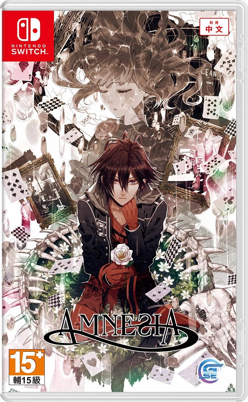 Nintendo Switch Game NS Amnesia- Chinese Version