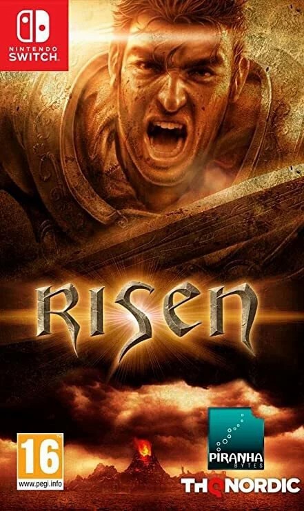 Nintendo Switch Game NS  Risen (ENG) [EU Version]