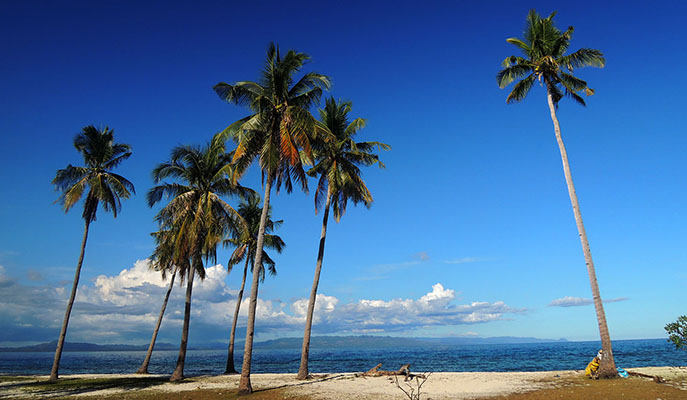 Pamilacan Island
