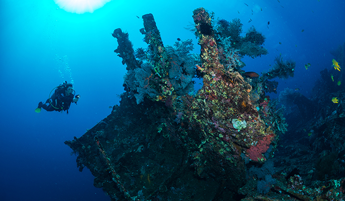 A diver exploring the USS Liberty Wreck at Tulamben