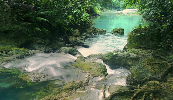 Kawasan Falls
