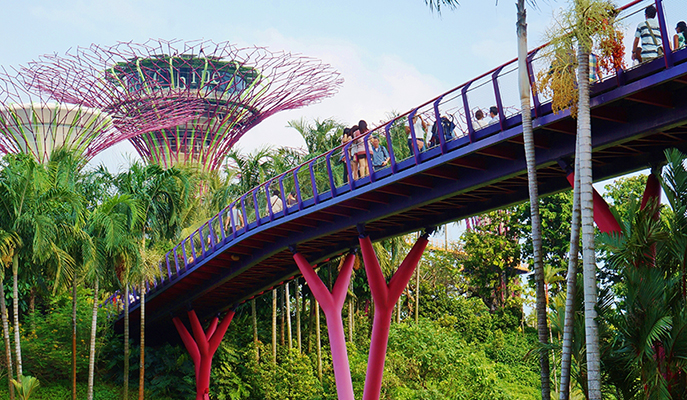 Gardens by the Bay