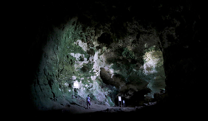 Tabon Caves