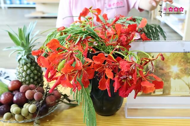 kham-pha-gio-hoc-ngap-tran-huong-vi-mua-he-cung-smisers-hai-ba-trung-1