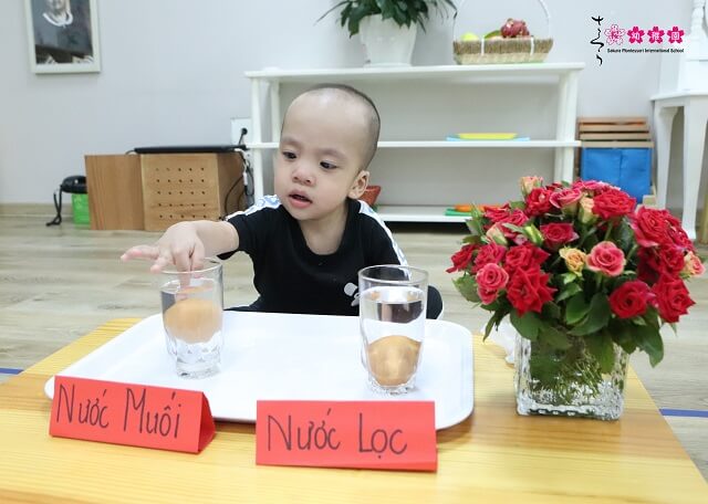 ho-bien-trung-noi-trung-chim-cung-cac-smisers-hai-ba-trung-3