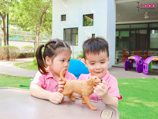 Nhấn vào ảnh để phóng to