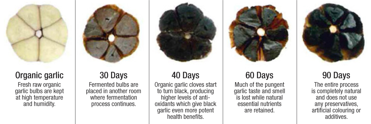 Black Garlic Benefit