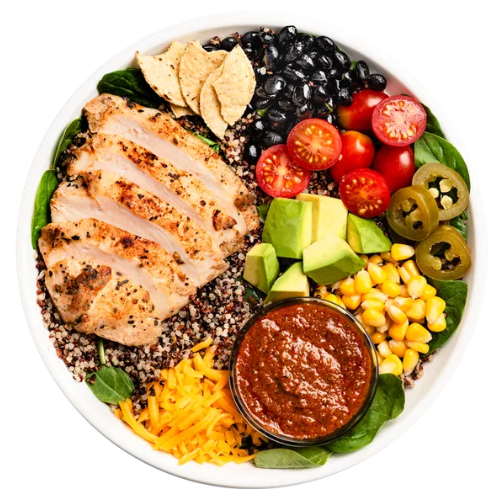 Chihuahua Protein Bowl