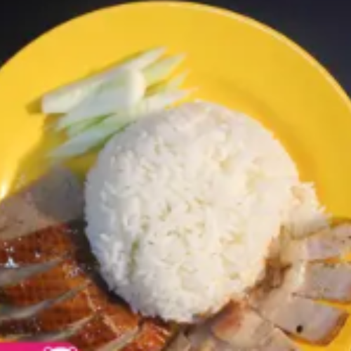 Duck & Roasted Pork Rice