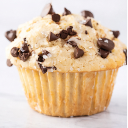 Chocolate Muffin