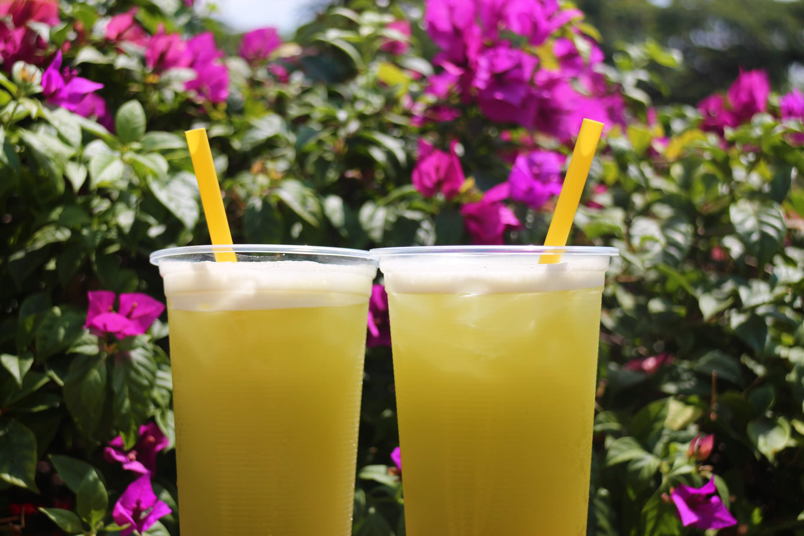 Traditional Sugarcane Juice (0112) Delivery Service in Singapore WhyQ