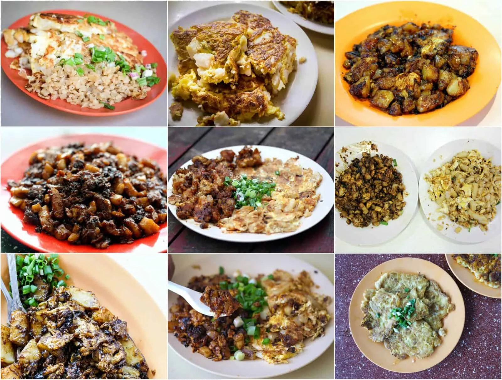 WhyQ Poh Kee Fried Carrot Cake-Amoy