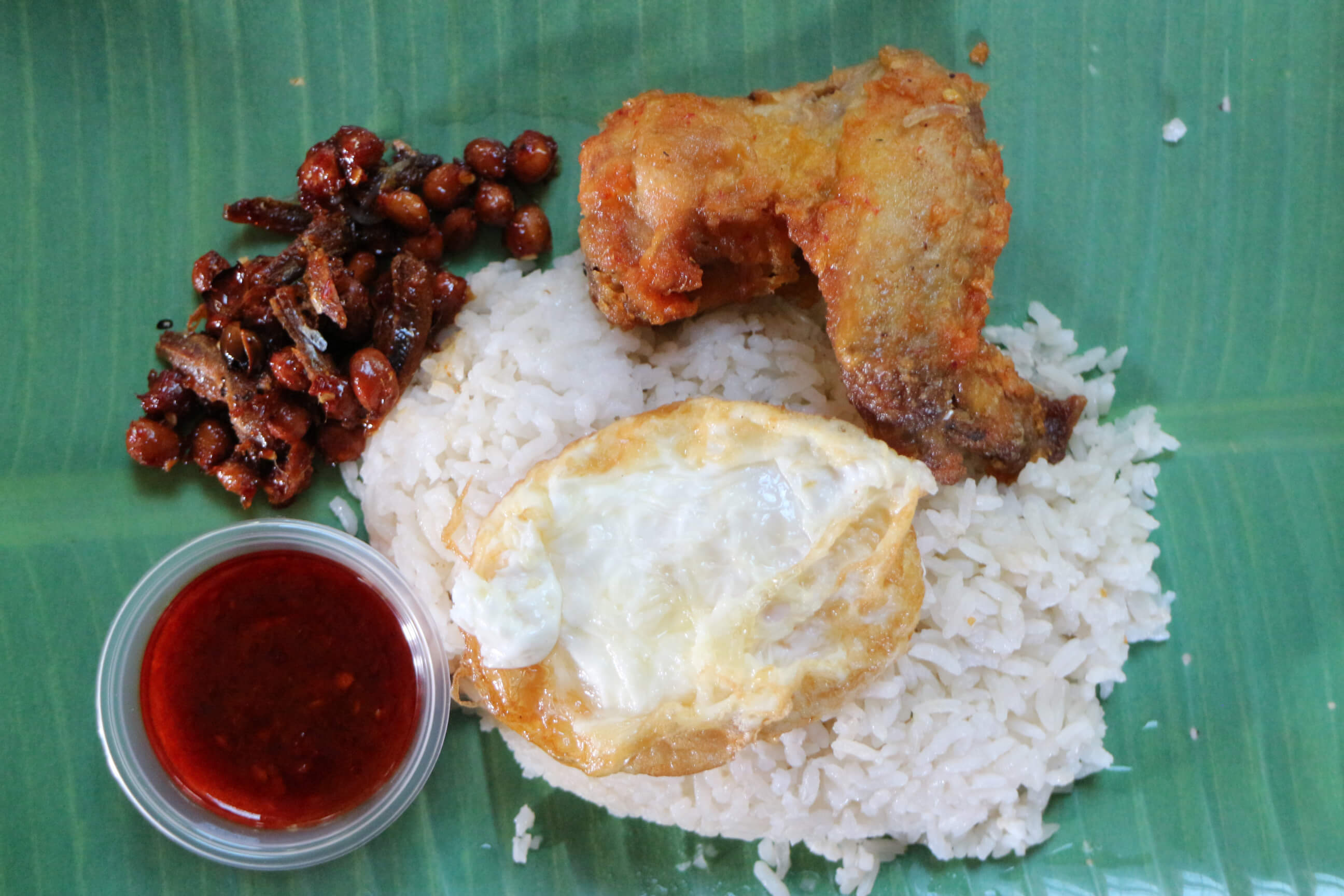 WhyQ The Green Leaf (01-100)