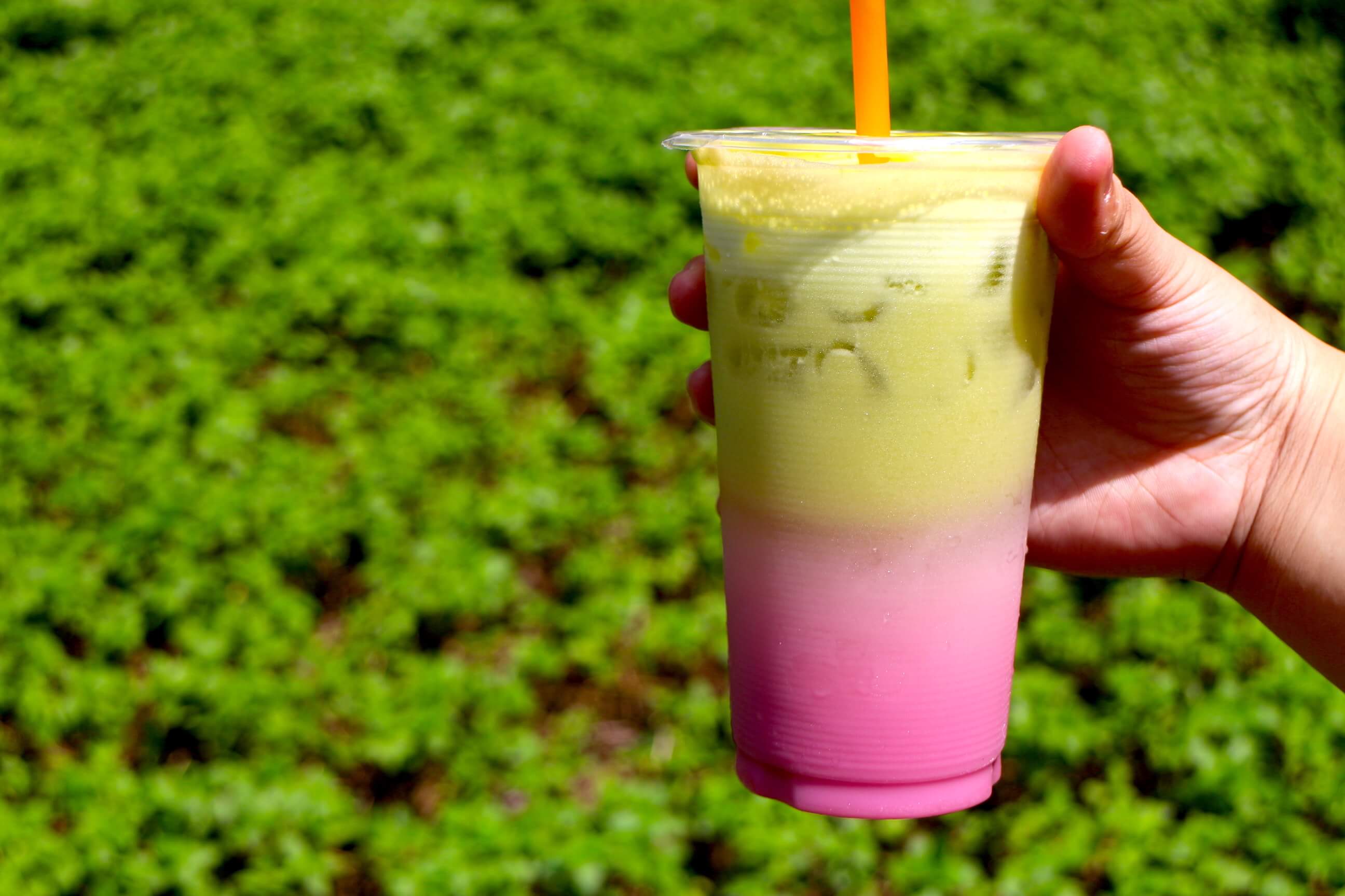 Fruits & Juices (0117) Delivery Service in Singapore WhyQ