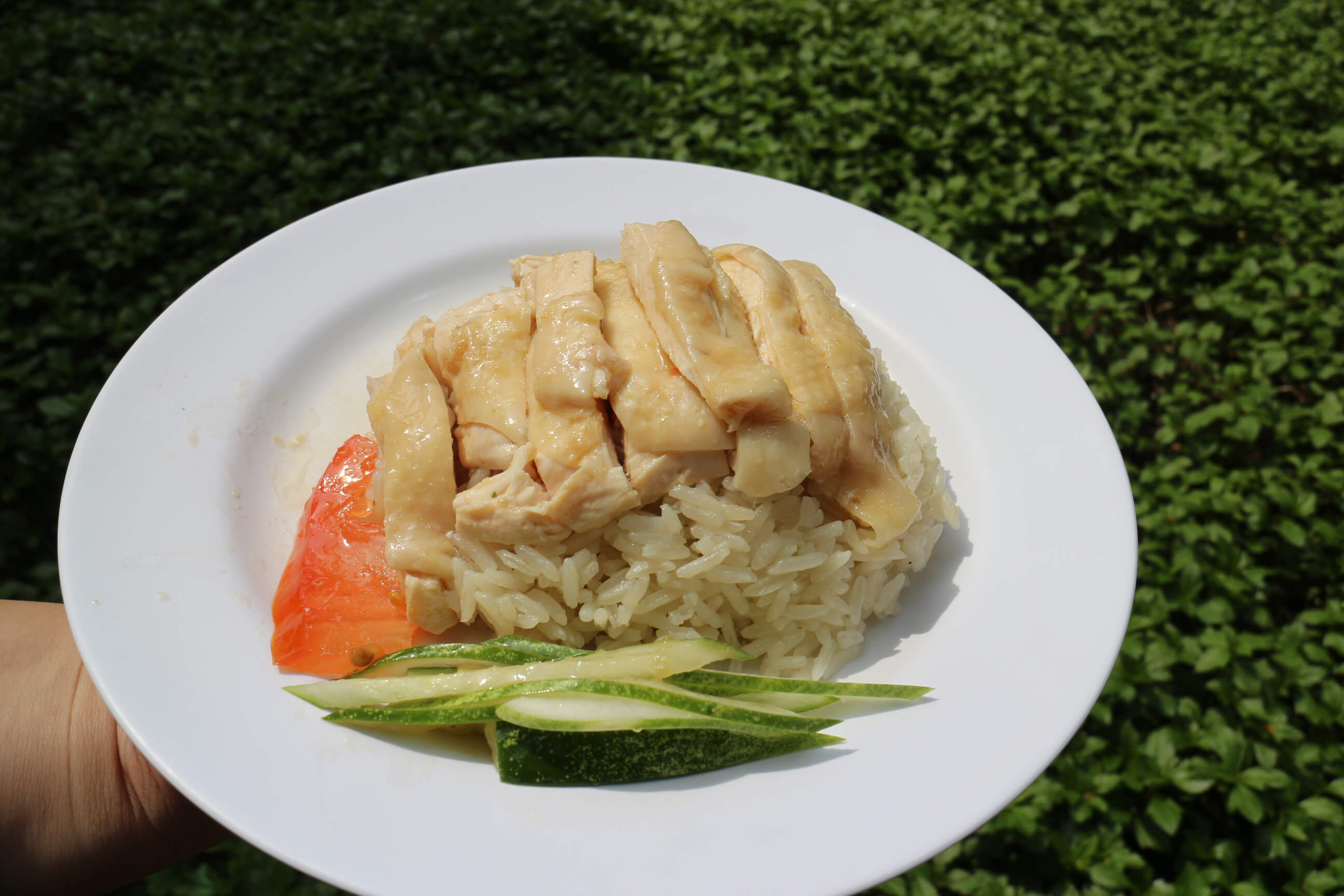 WhyQ Tong Fong Fatt Boneless Chicken Rice (01-43)