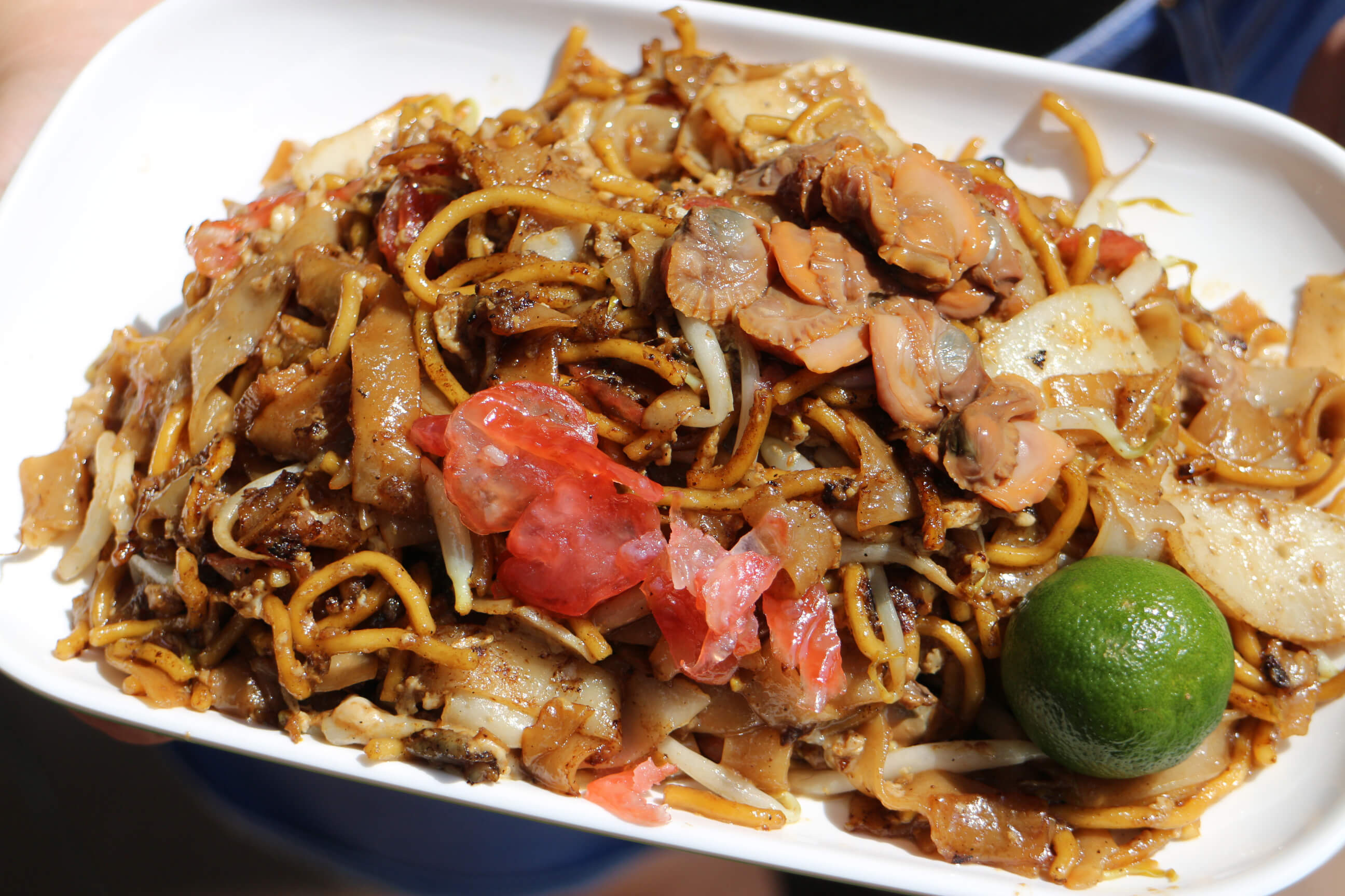 WhyQ Fried Kway Teow (01-01)