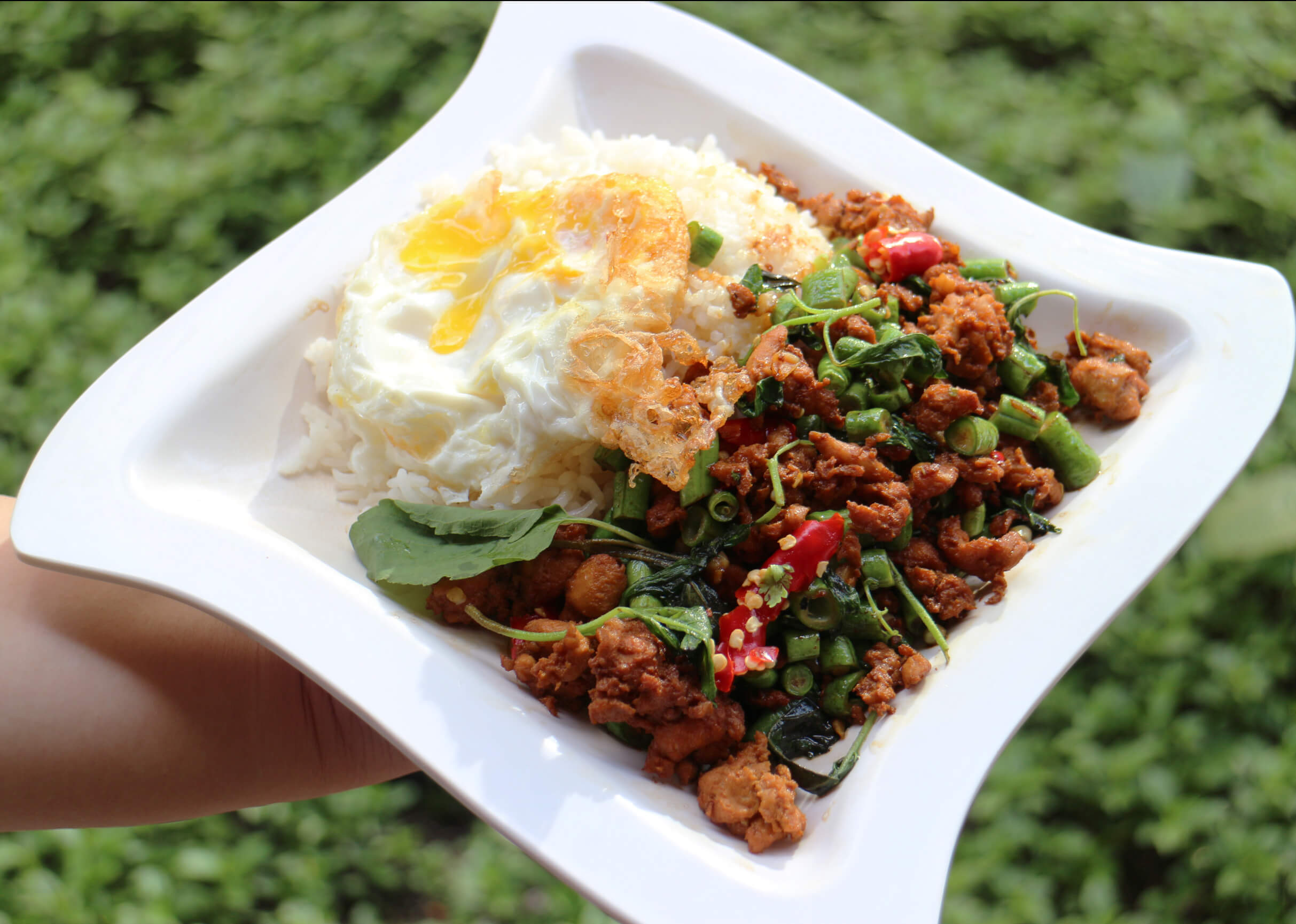 WhyQ Authentic Thai (01-35)