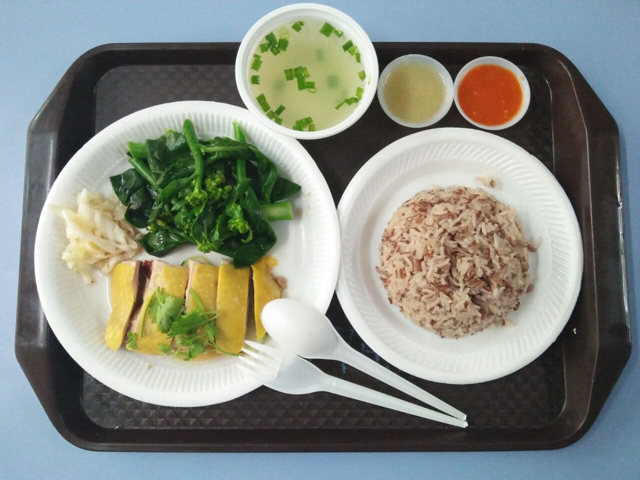 WhyQ Teo Kee Hainanese Chicken Rice (02-180)