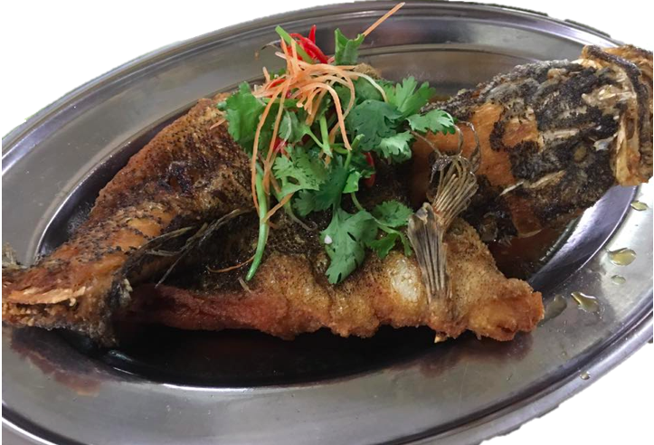 WhyQ 80 Huat Huat Xiao Chu (02-080)