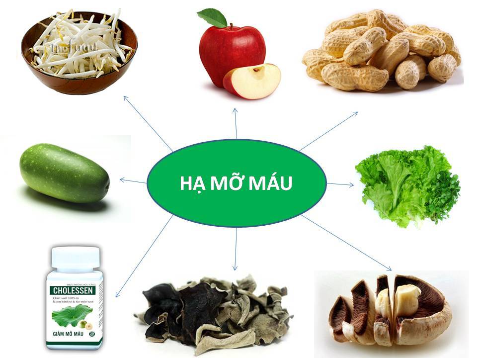 phospholipid - Chăm sóc sức khoẻ: Rối loạn mỡ máu cũng có thể xảy ra với người gầy Mo-mau-cao-nen-an-gi-20160824172217830