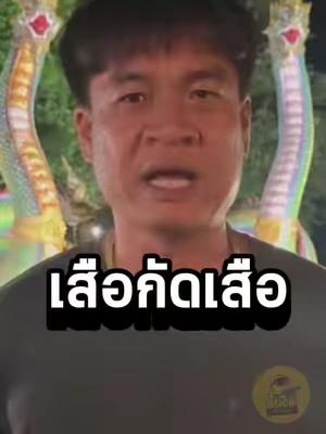 image default