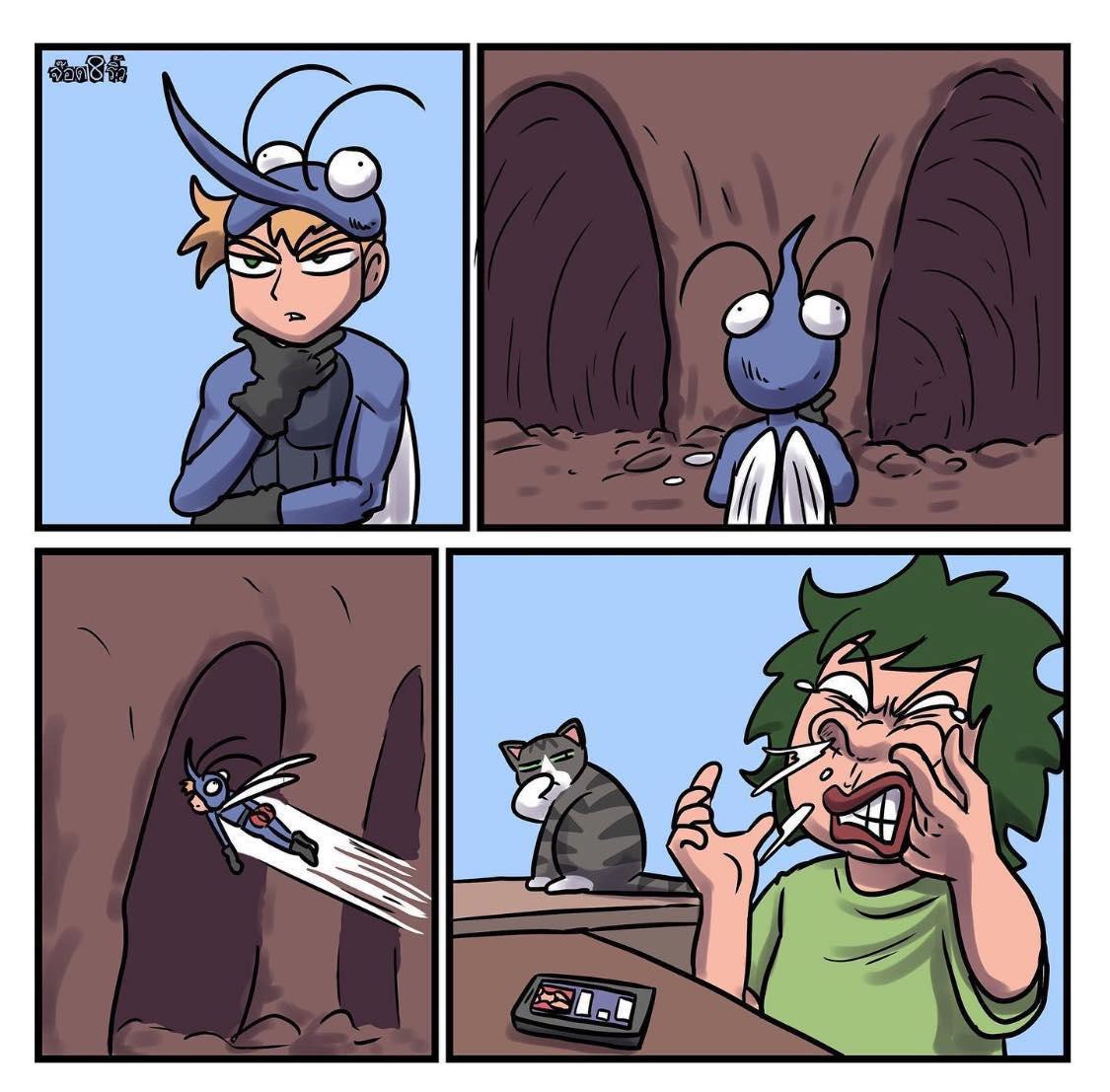 image default