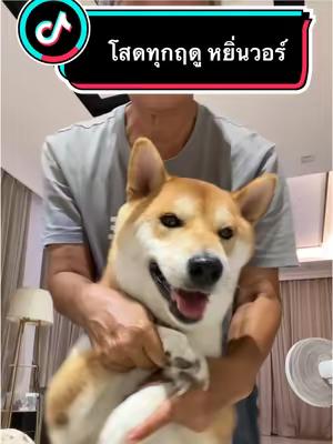 image default