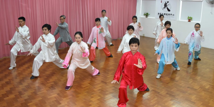Tan Mui Buay Xin Ying Wushu