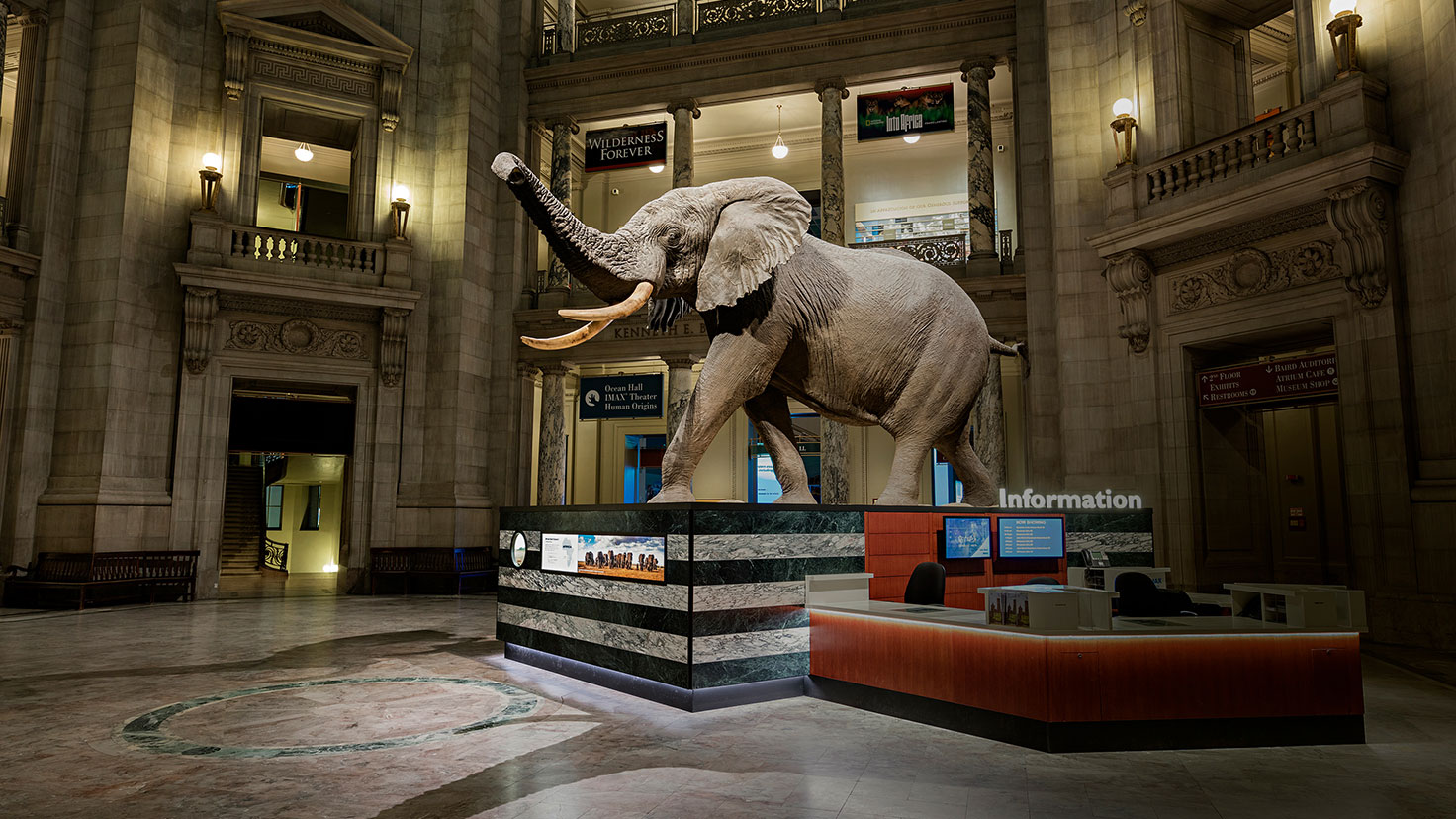 DESTINATION Let’s Go to the Museums POWER Mag