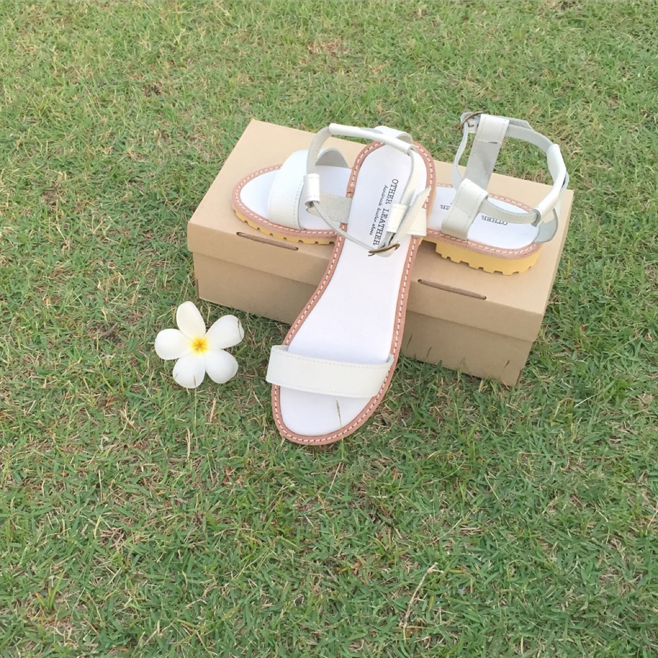 d09af293-f8e0-4c60-865c-fdb1473f787e