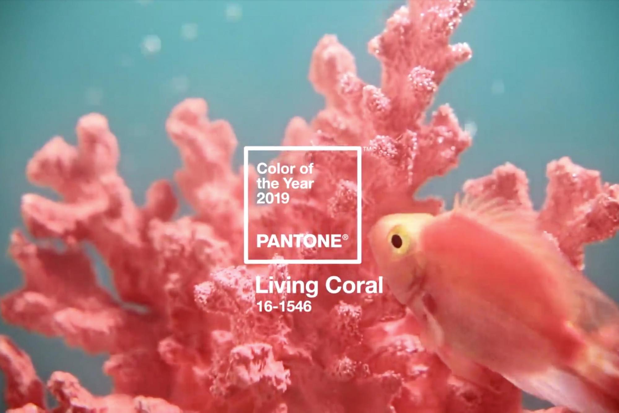 Living-Coral-Men-Looking-Guide2
