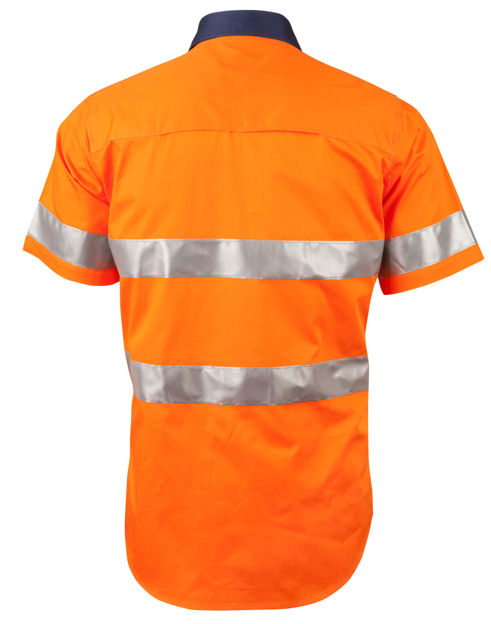 SW59_OrangeNavy_Back