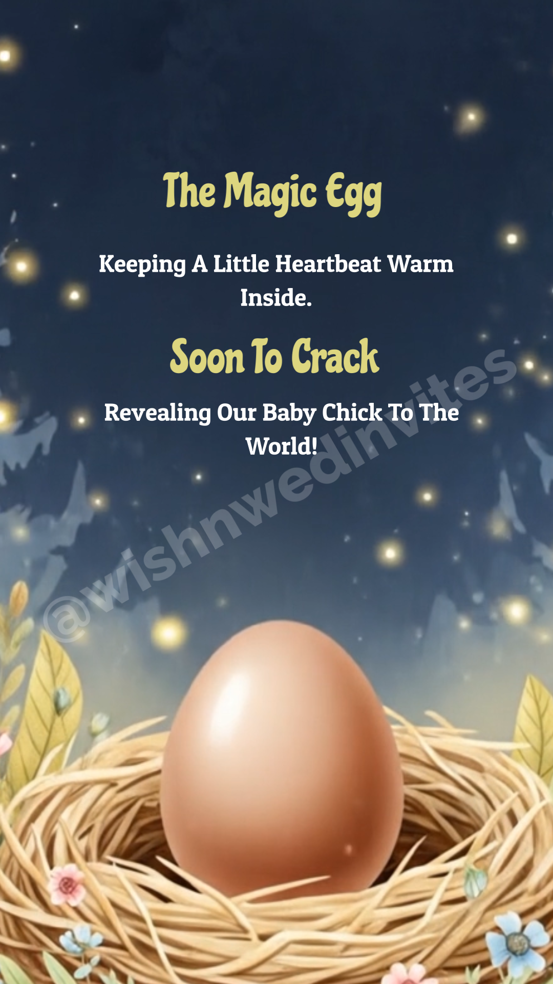 Birds Theme Birth Announcement Video Card