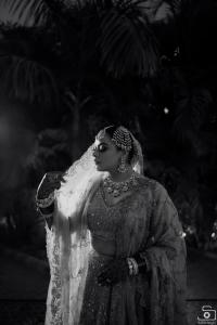 Photos by Safarsaga Films