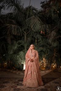 Photos by Safarsaga Films