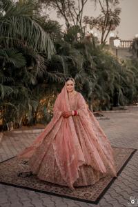 Photos by Safarsaga Films