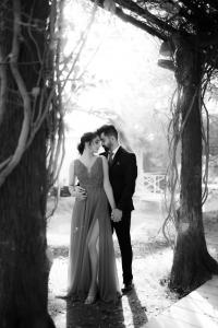 Photos by Safarsaga Films