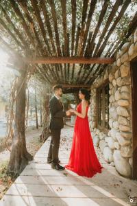 Photos by Safarsaga Films