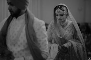 Photos by Safarsaga Films