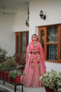 Photos by Safarsaga Films