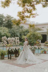 Photos by Safarsaga Films