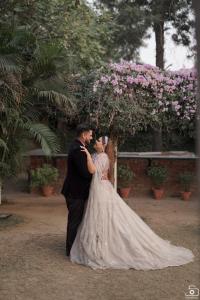 Photos by Safarsaga Films